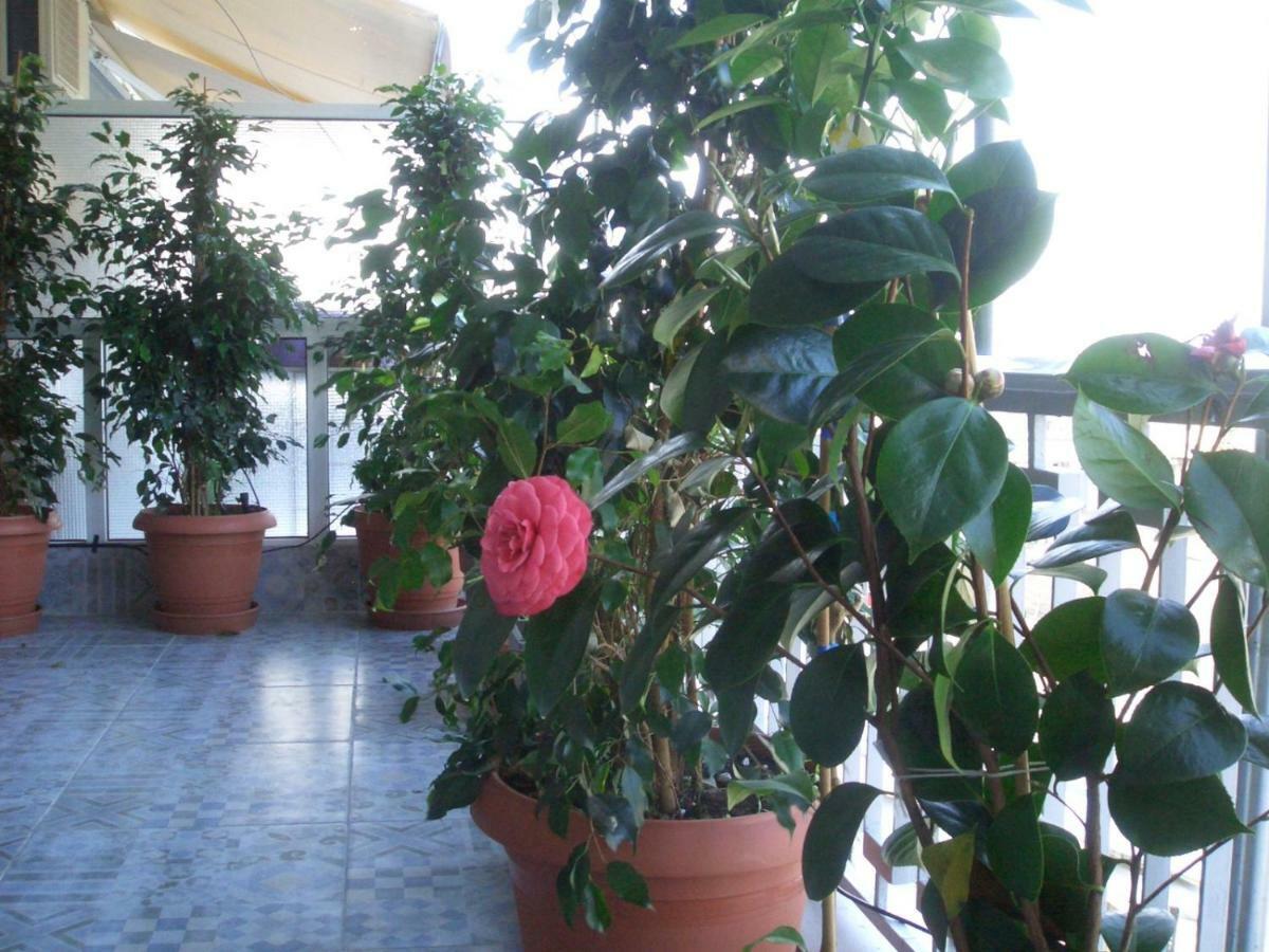 Athens Penthouse Cosy Apartment Apartment *