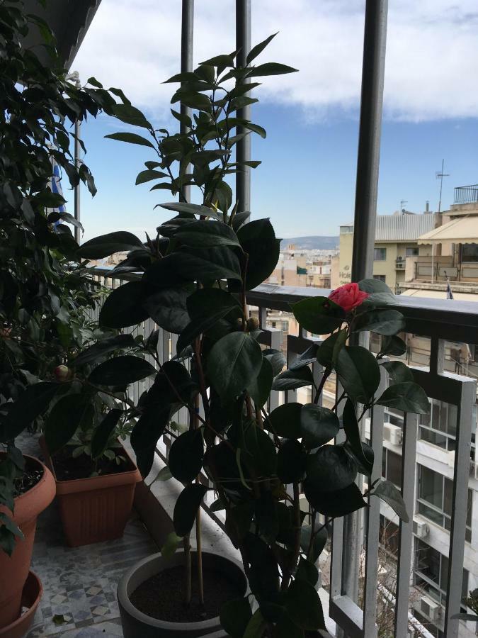 Penthouse Cosy
